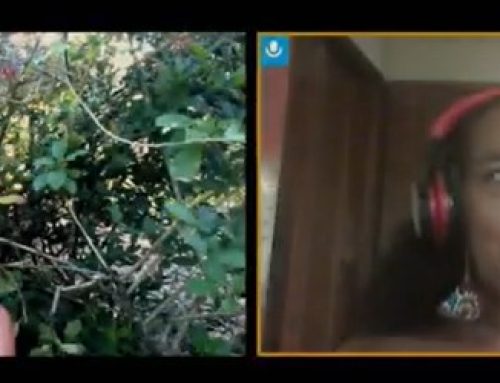 In Real Life- The IRL ROI Podcast